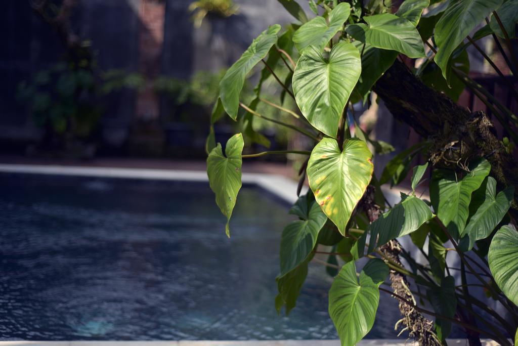 Wooden Villa By Prasi Ubud Esterno foto